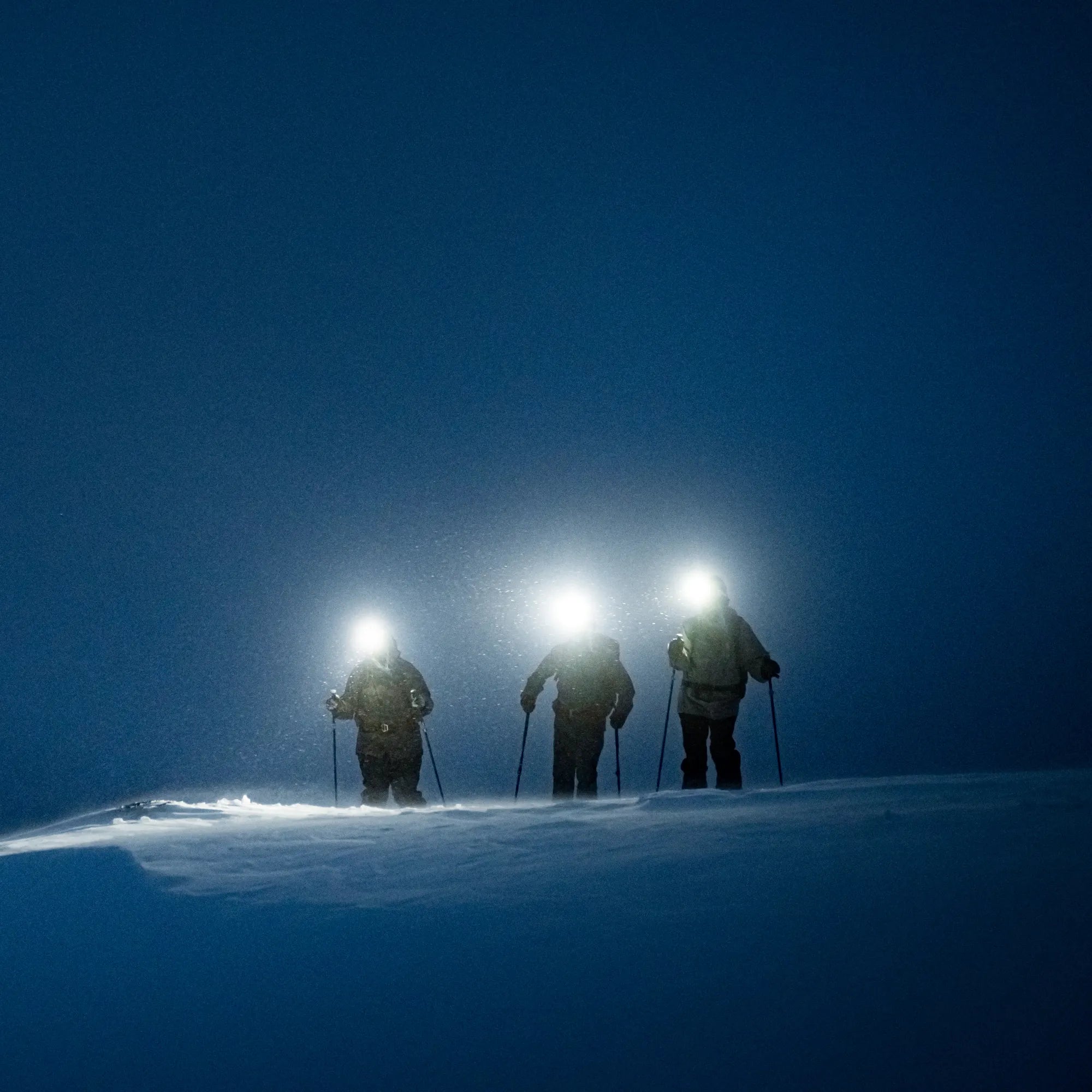 Silva_free_230313_M207584 CROP