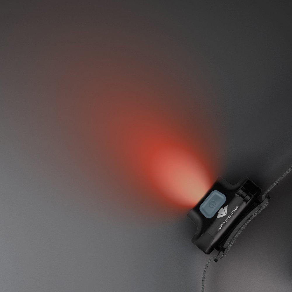 Scout 3XTH_38000_red-light-productImages-dark,productdetails