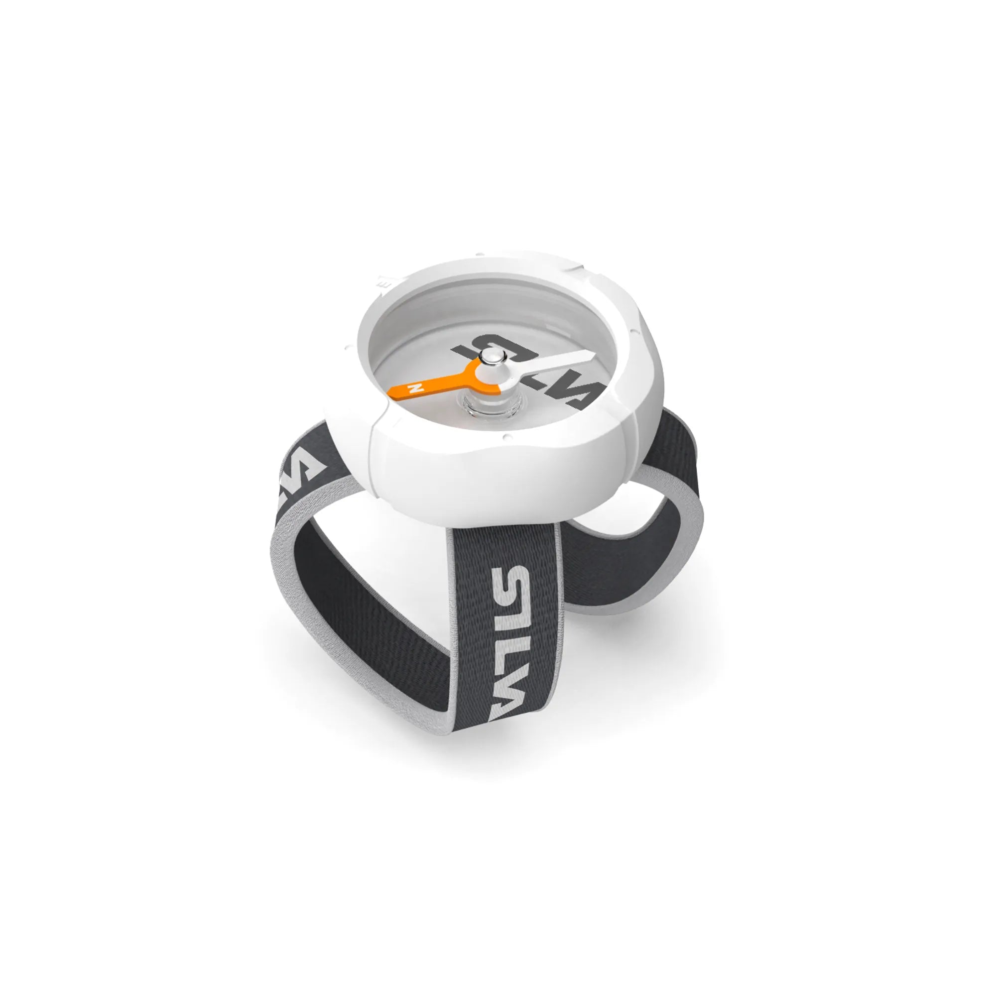 Begin_37905_main-PATH edited