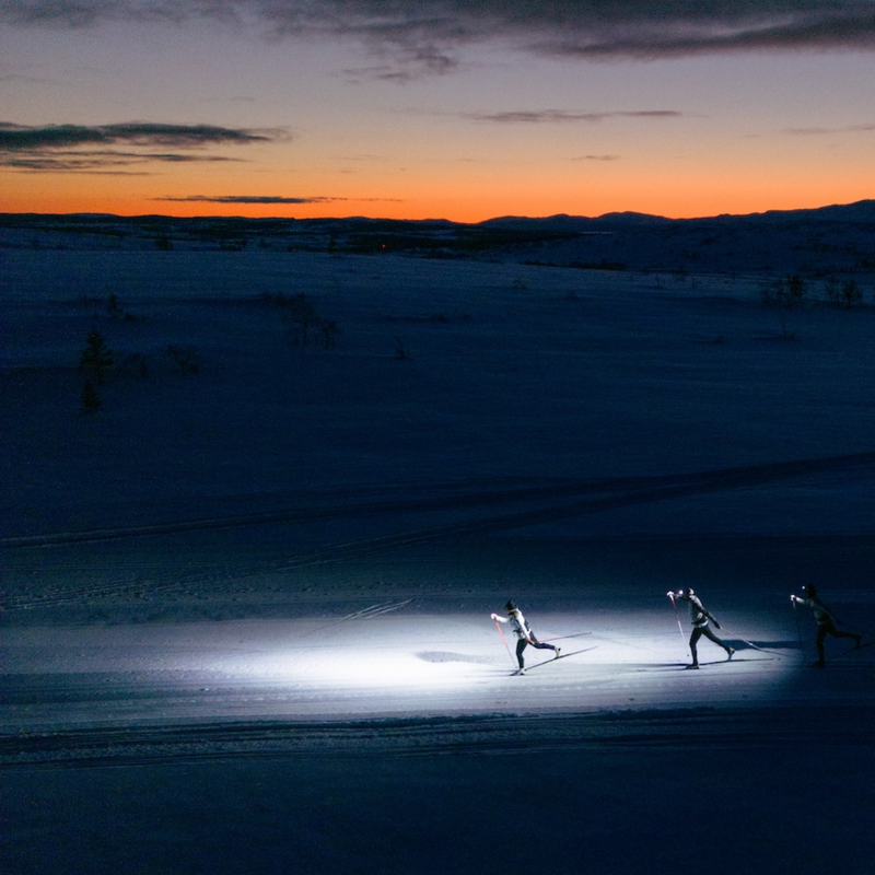 NEW SILVA STRIVE - Run more - Experience more - Silvasweden.com